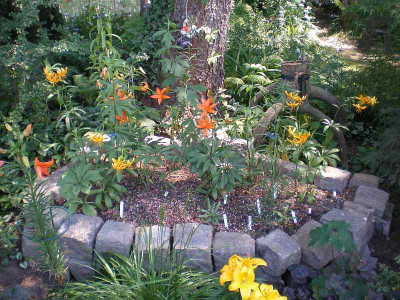 BG_Lilienbeet_1_2012-06-18e.jpg