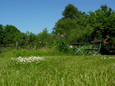 Wieren.Wiesengrund15.jpg