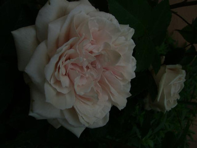 marchioness_2.JPG