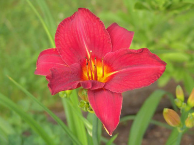 DSC02713-kl.jpg