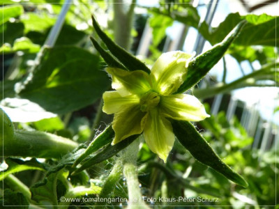 12cherokee_green01.jpg