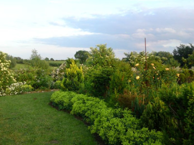 DSC01724a.jpg
