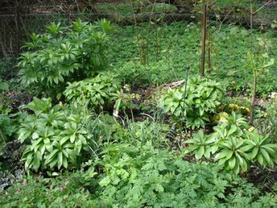 Groenanderung_Marz_April_2012_096_2..jpg