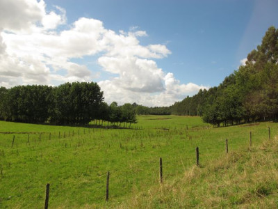 24_Puerto_Montt_Umgebung_fars_2012.jpg