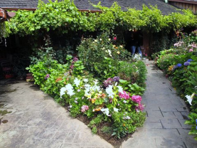 25_Puerto_Varas_fars_2012.jpg