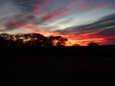 89_Estancia_Cerro_Guido_fars_2012.jpg