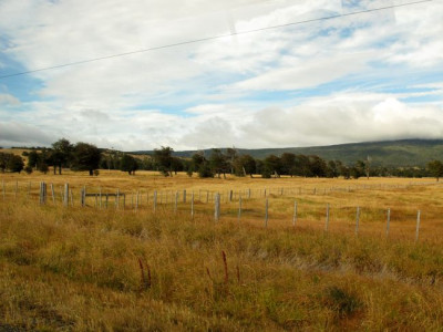 98_Patagonien_fars_2012.jpg