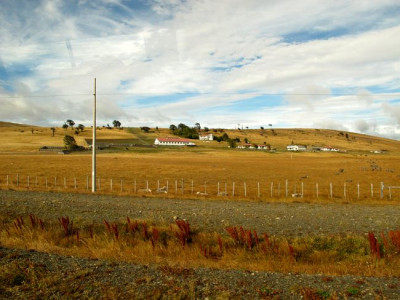 99_Patagonien_fars_2012.jpg