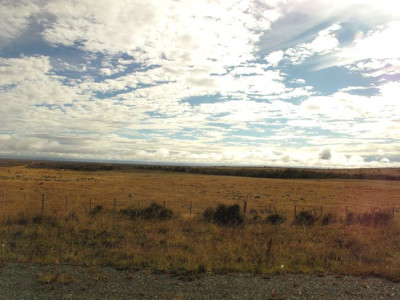 100_Patagonien_fars_2012.jpg