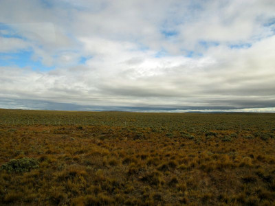 104_Patagonien_fars_2012.jpg