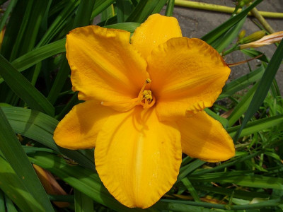SS850948_orange_ufo_k.jpg