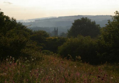 BucklandMonachorum20120615_86.jpg