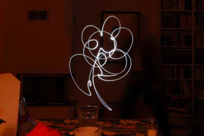 Blume_8182.JPG
