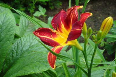k-DSC03283.JPG