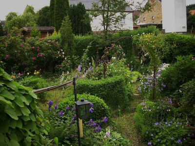 blick_von_terrassentrur.jpg
