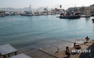 SAM_0909.jpg