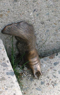 Bronzeschnecke.jpg