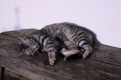 April0811b.jpg