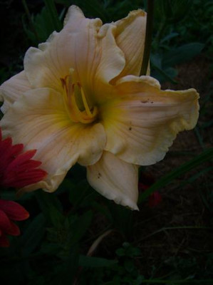 P1020155_Small.JPG