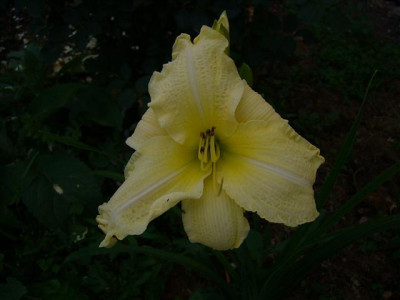 P1020148_Small.JPG