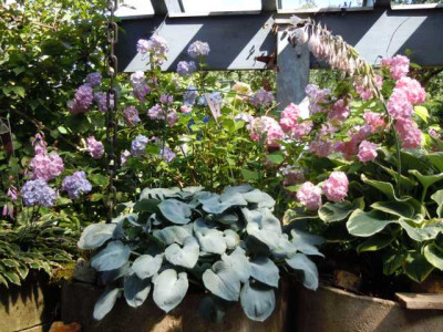 08.07.2012_007.JPG