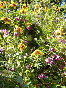 08.07.2012_004_15.JPG