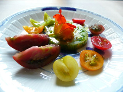 kuche_120708.jpg
