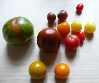 ernte_120708.jpg