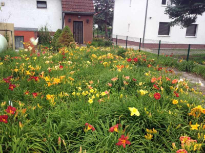 tagliliengarten-auf-dem-weg2.jpg