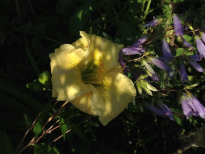 yamashita_20120708_zg.jpg