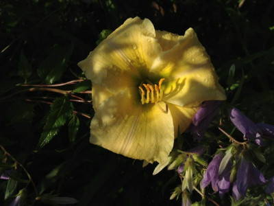 yamashita_20120708_zg2.jpg