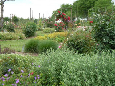 Veitshochheim_09.07.12_007.JPG