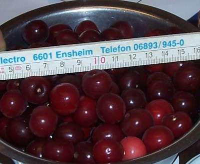 Juli_12_120_Ernte.jpg