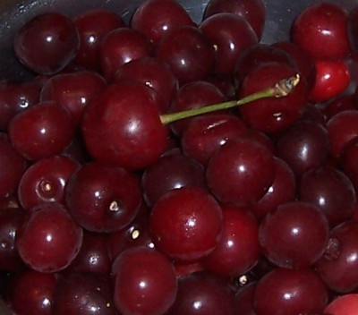 Juli_12_121_Vergleich_mit_Schattenmorelle.jpg