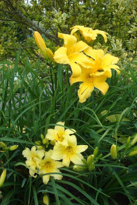 k-DSC04237.JPG