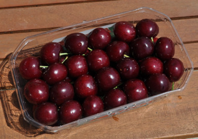 Kirschen_12__9606.jpg
