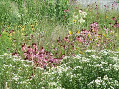 Botanischer_Garten_Wurzburg_Ausflug_032.JPG