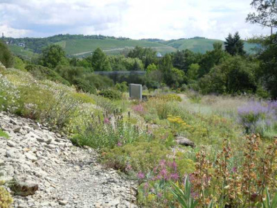 Botanischer_Garten_Wurzburg_Ausflug_021.JPG