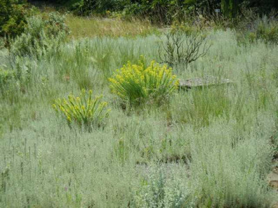Botanischer_Garten_Wurzburg_Ausflug_023.JPG