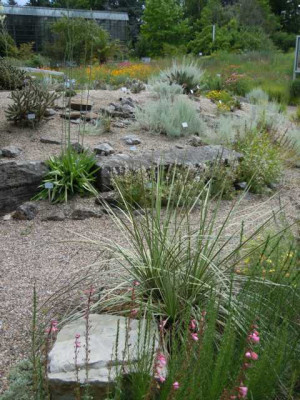 Botanischer_Garten_Wurzburg_Ausflug_038.JPG