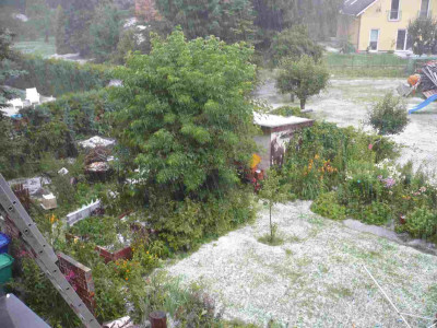 Hagel_120712.jpg