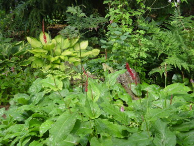 DSC347.jpg