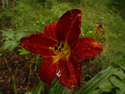 DSC352.jpg