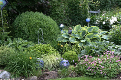 Gartenimpressionen6612.jpg