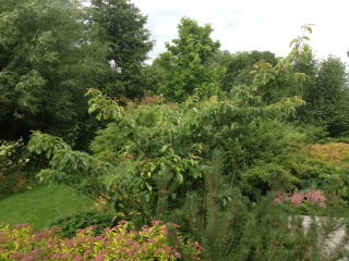 Foto_3_2.JPG