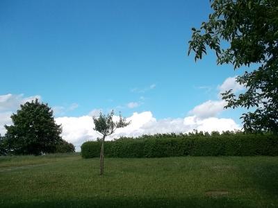 Julihimmel.jpg