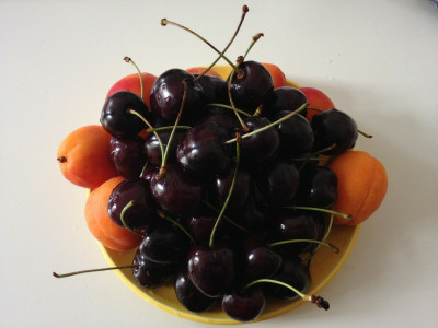 obst_20120716_zg.jpg