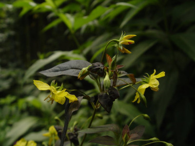 DSC364.jpg