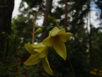 DSC369.jpg