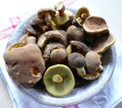ernte_120718_1.jpg